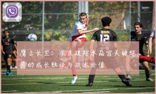 鹰击长空：深度追踪水晶宫关键球员的成长轨迹与战术价值